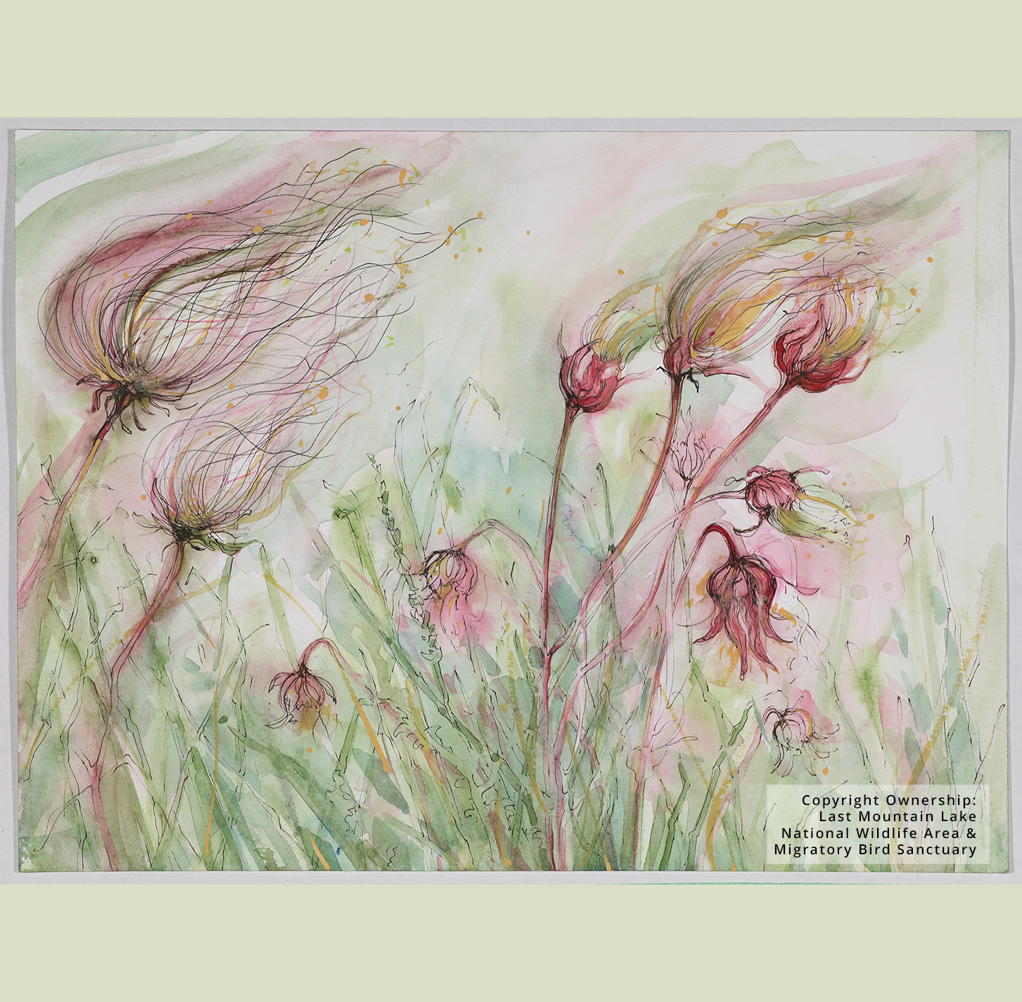 A painting by Andrea Tait of flowers blowing in the wind, using orange, green, and red watercolour paint. Copyright ownership belongs to Last Mountain Lake National Wildlife Area & Migratory Bird Sanctuary.